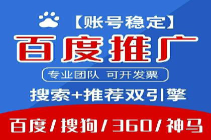 谷歌SEM广告投放的ROI优化：一家科技公司的成功经验